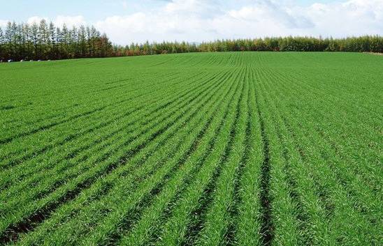 铅山农村户口的赶紧看