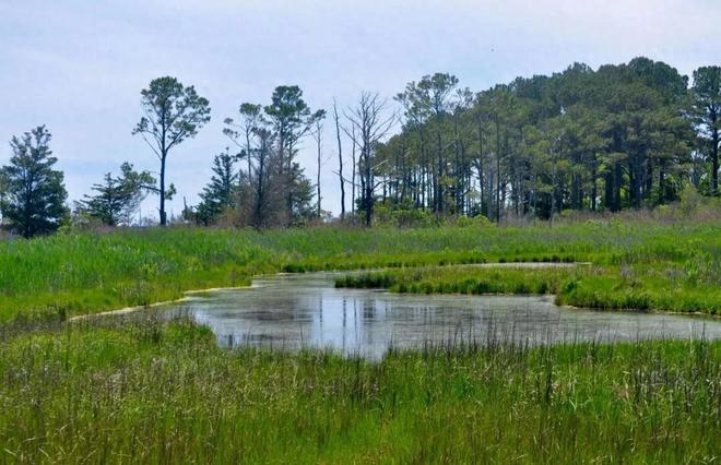 昆明最美湿地公园坐地