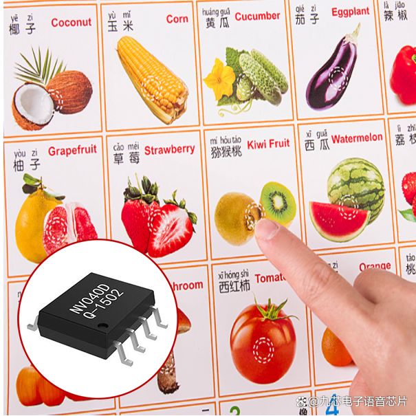 早教有声挂图画能够发